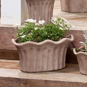 Small scalloped sand terracotta planter with white flowers and coordinating planters behind