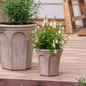 Small Varenna arch plant pot with white flowers beside a larger matching sand terracotta pot