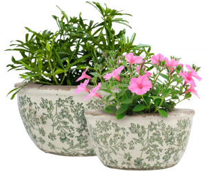 Large Hayward Green Shallow Planter