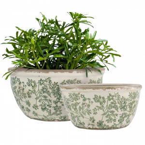 Small Hayward Green Shallow Planter, designed as a decorative container for a favourite plant