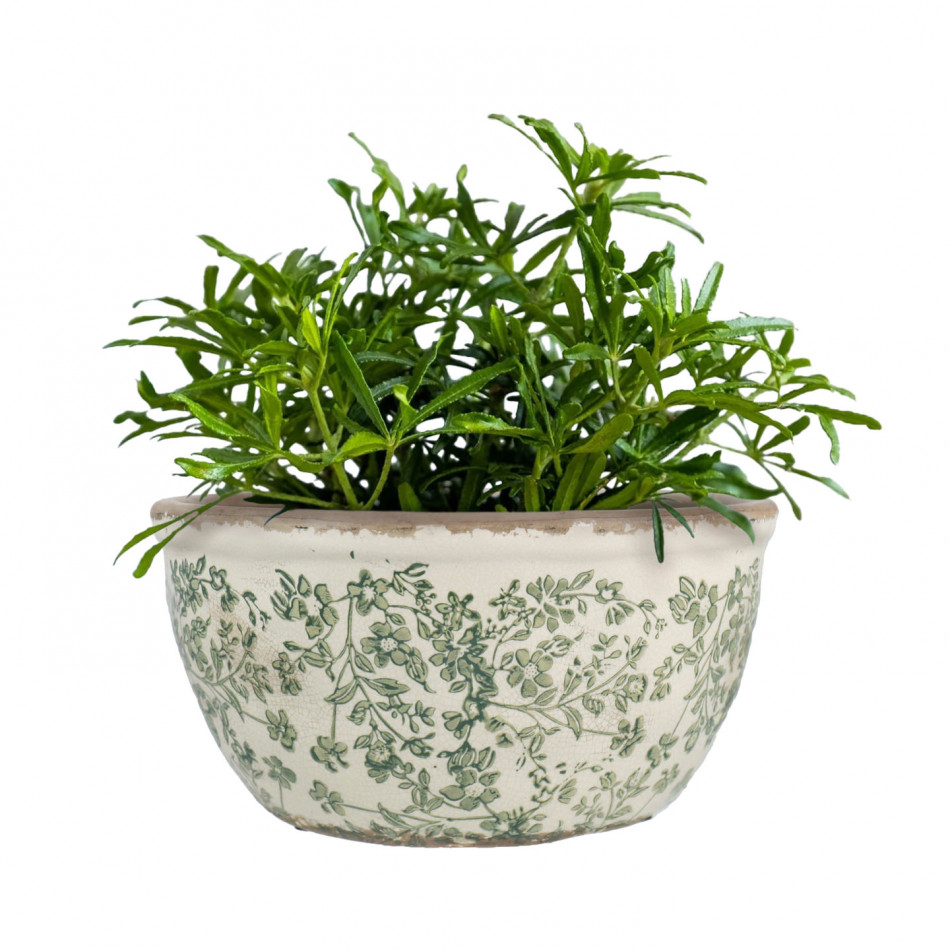 Large Hayward Green Shallow Planter, decorative planter or flower display