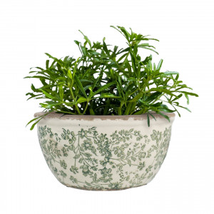 Large Hayward Green Shallow Planter, decorative planter or flower display