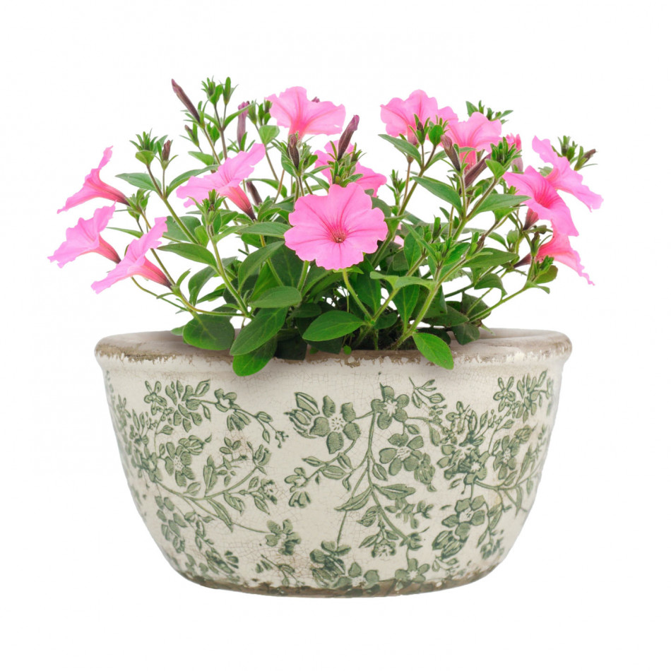 Small Hayward Green Shallow Planter, decorative planter or flower display