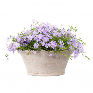 Shallow Penshurst Wave Plant Pot, a decorative container for displaying plants