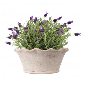 Shallow Penshurst Wave Plant Pot, a plant display piece suited to adding greenery to a styled space