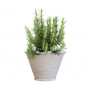 Large Taper Penshurst Wave Plant Pot, a decorative container for displaying plants