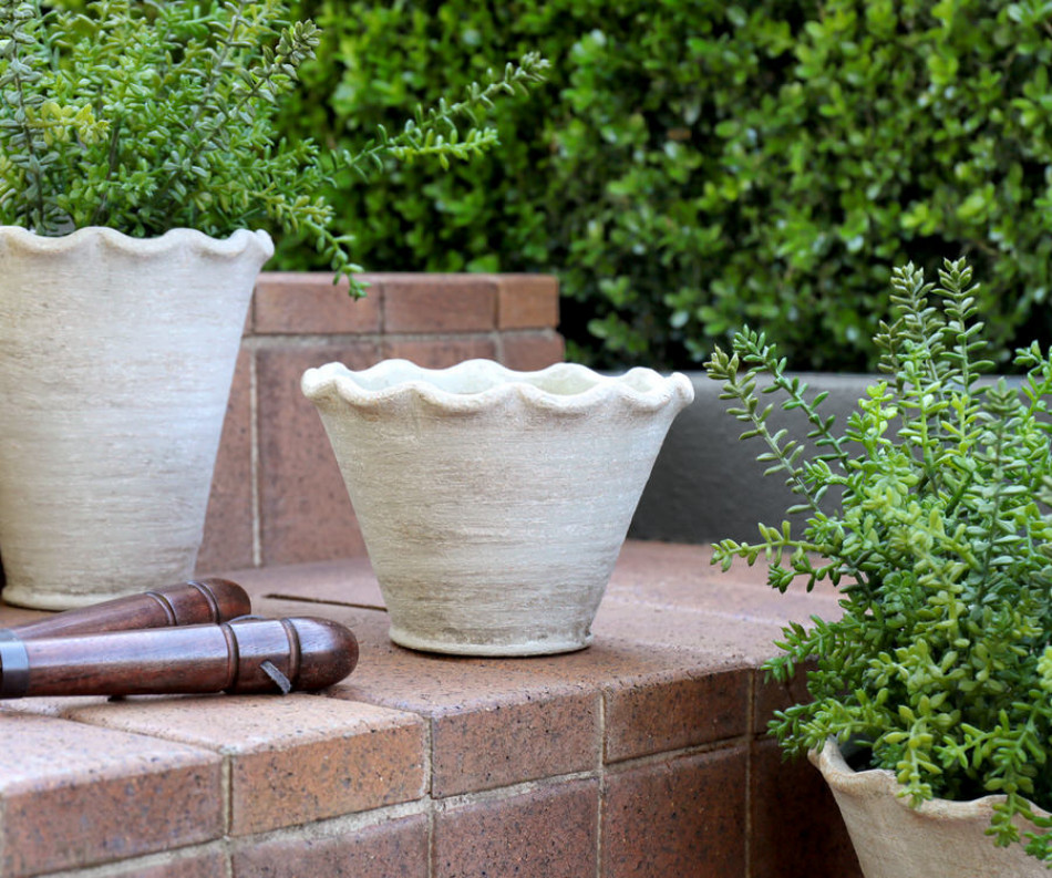 Small Taper Penshurst Wave Plant Pot