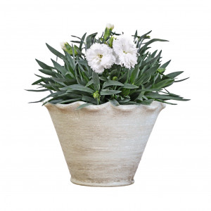 Small Taper Penshurst Wave Plant Pot, a decorative container for displaying plants