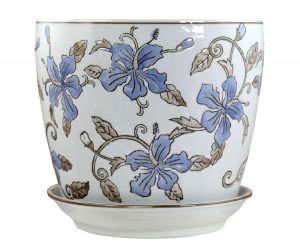 Large Blue Hibiscus Plant Pot