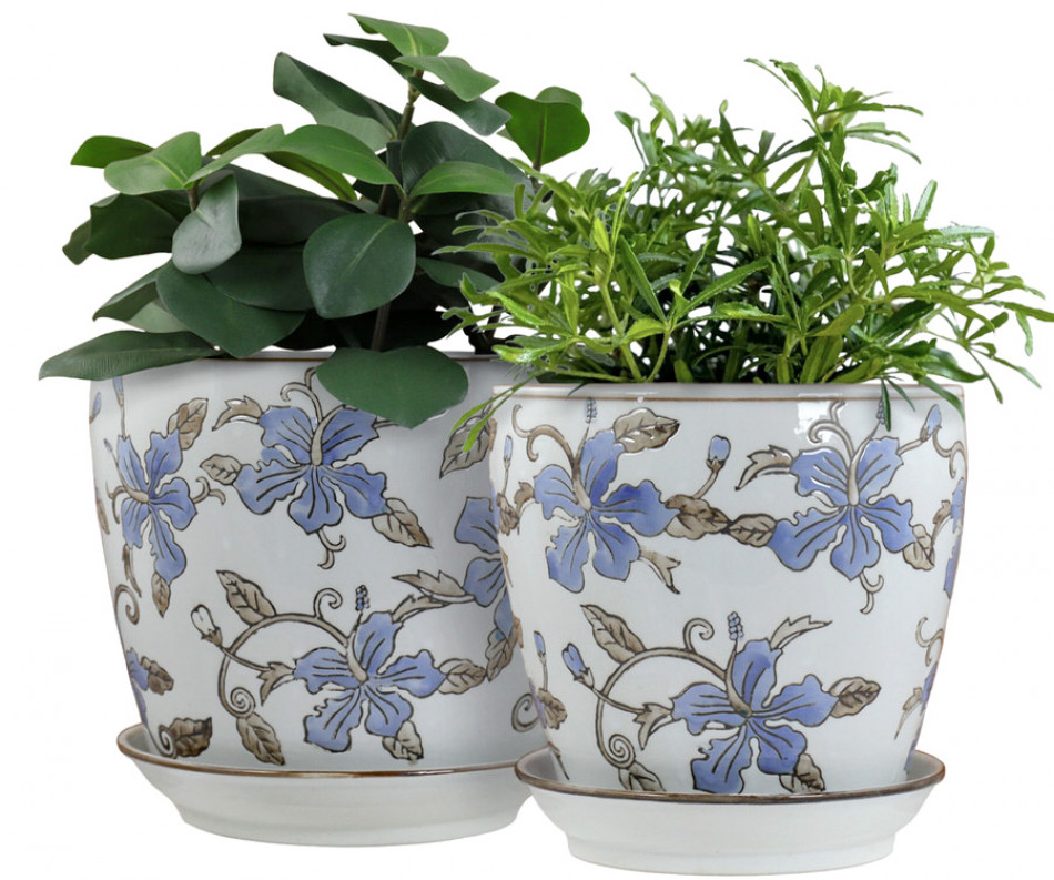 Large Blue Hibiscus Plant Pot