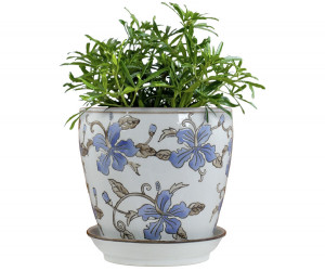 Medium Blue Hibiscus Plant Pot