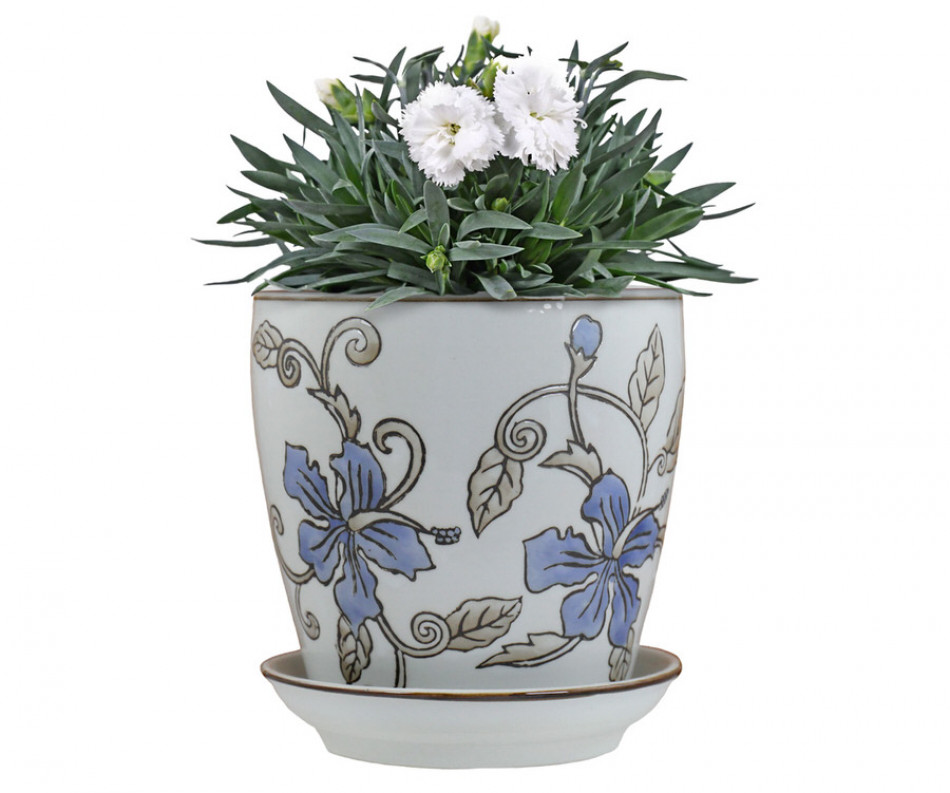 Small Blue Hibiscus Plant Pot