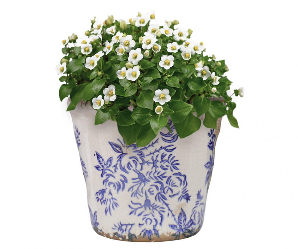 Small Arden Blue Floral Planter
