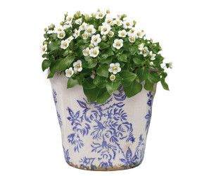 Small Arden Blue Floral Planter