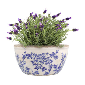 Large Arden Blue Floral Shallow Planter