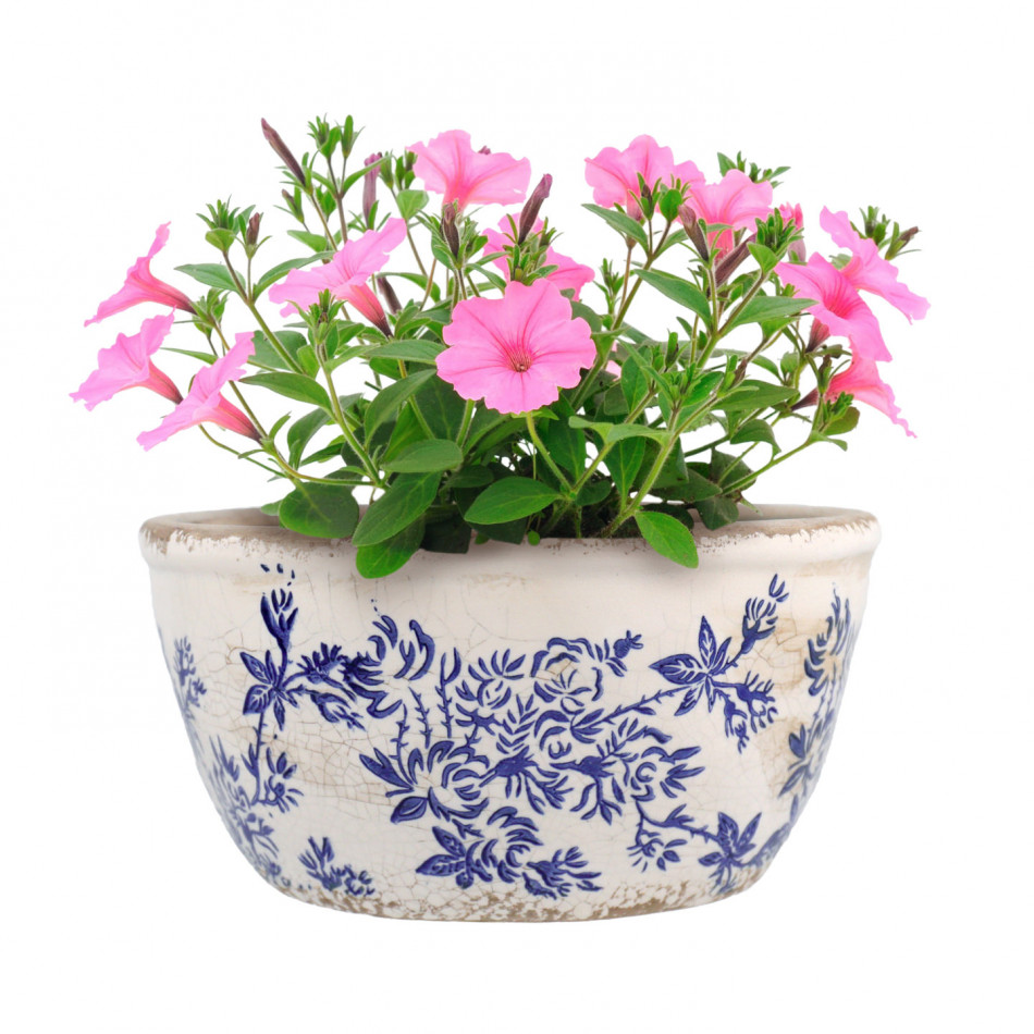 Small Arden Blue Floral Shallow Planter, decorative planter or flower display