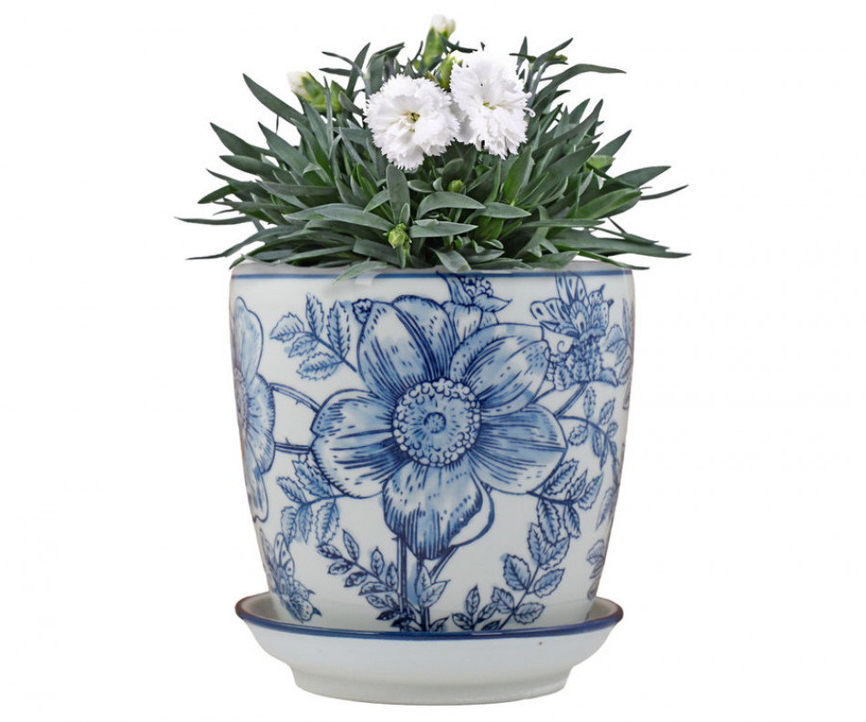 Small Blue Clematis Planter Pot