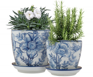 Small Blue Clematis Planter Pot