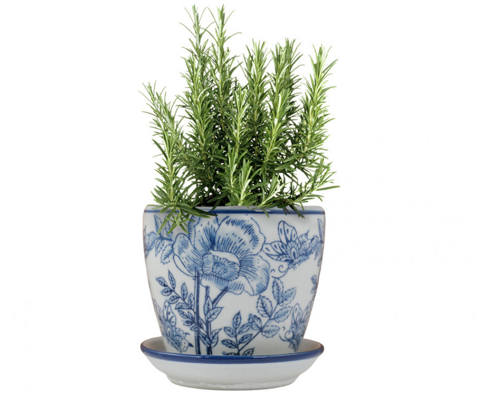 Extra Small Blue Clematis Planter Pot