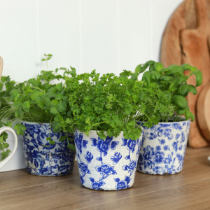 Set 3 Blue & White Floral Planters - Rose Set, designed as a decorative container for a favourite plant