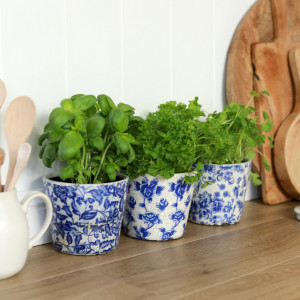 Set 3 Blue & White Floral Planters - Rose Set, a decorative container for displaying plants