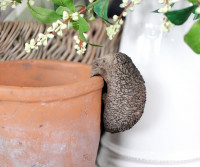 Buttons the Hedgehog Pot Hanger