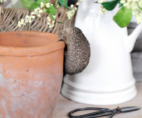 Buttons the Hedgehog Pot Hanger