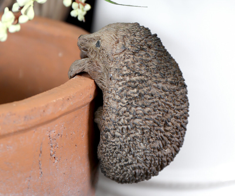 Buttons the Hedgehog Pot Hanger