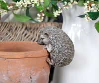 Spike the Hedgehog Pot Hanger