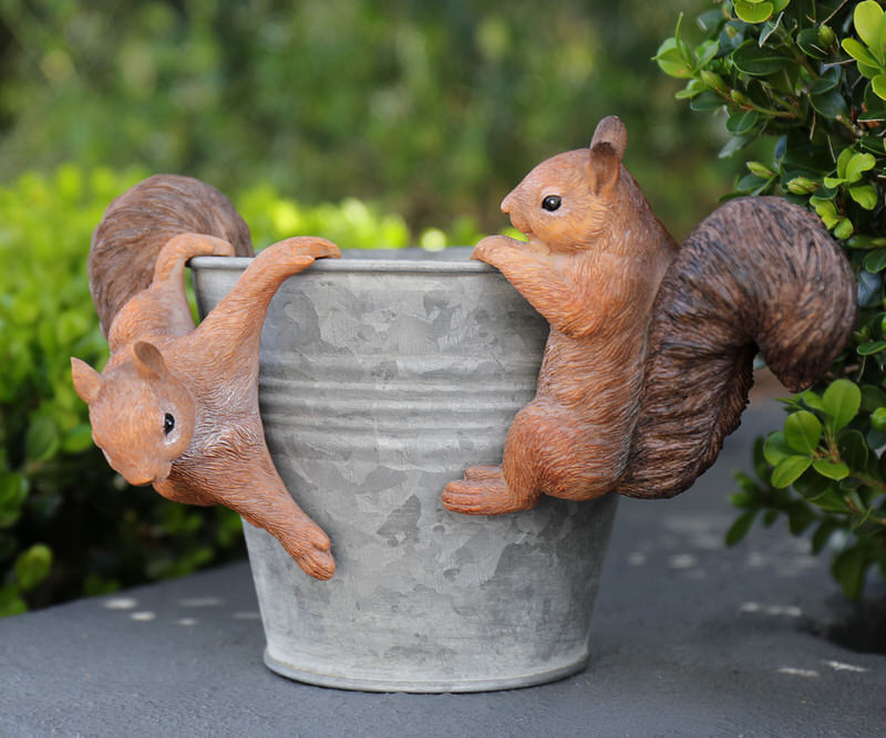 Nutkin the Squirrel Pot Hanger