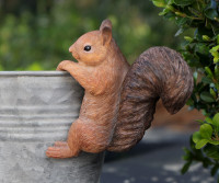 Acorn the Squirrel Pot Hanger