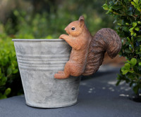 Acorn the Squirrel Pot Hanger