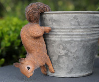 Pepper the Squirrel Pot Hanger