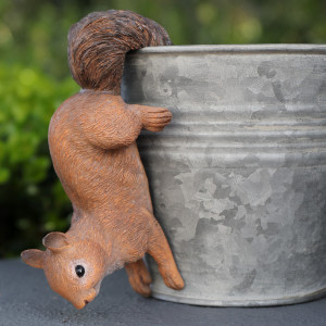 Pepper the Squirrel Pot Hanger, wall-mounted storage and organisation piece