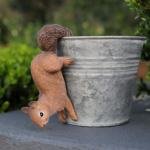 Pepper the Squirrel Pot Hanger, a functional fitting for displaying, holding or organising household items