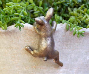Bella the Rabbit Pot Hanger - Gold