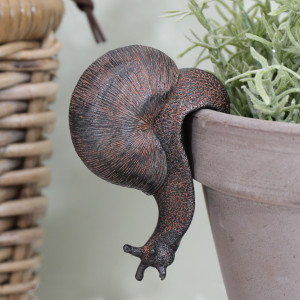 Close-up of Gavron brown resin snail pot hanger showing its spiral shell and textured body over a pot rim