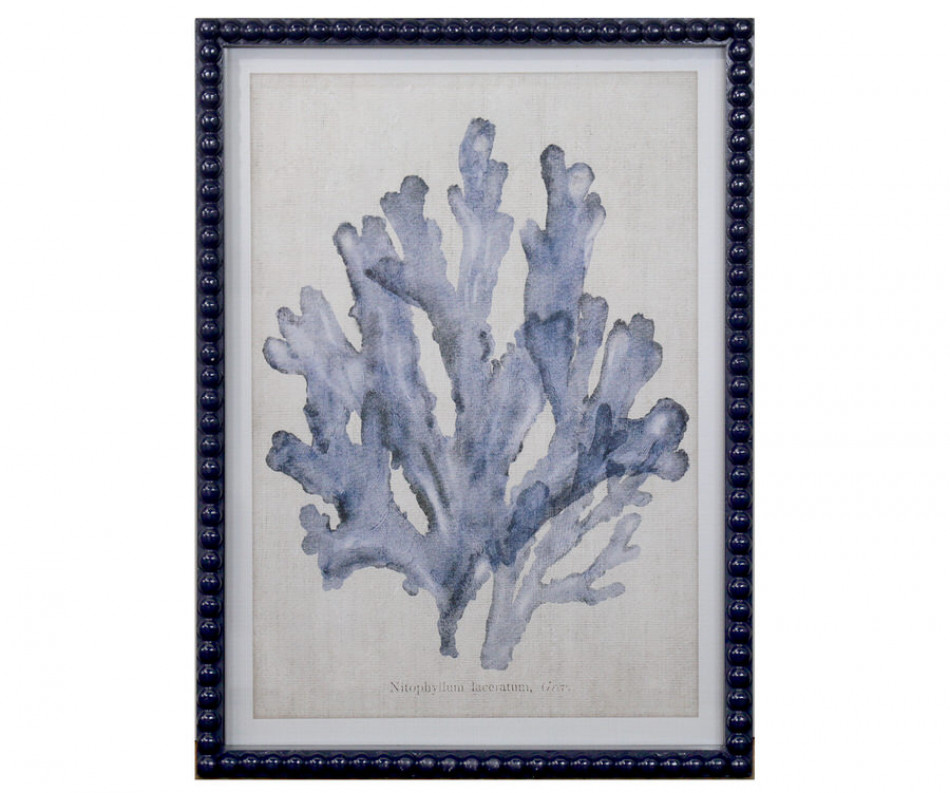 Marine Blue Seaweed II Framed Print
