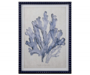 Marine Blue Seaweed II Framed Print