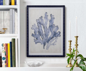 Marine Blue Seaweed II Framed Print
