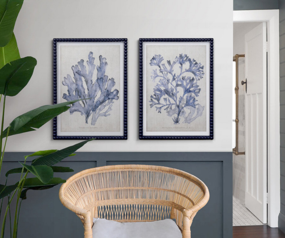 Marine Blue Seaweed III Framed Print