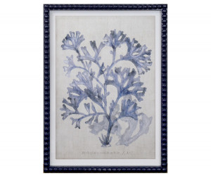 Marine Blue Seaweed III Framed Print