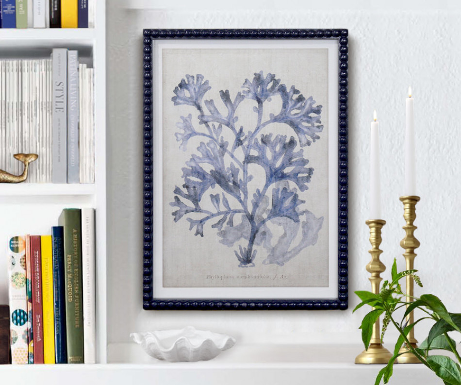 Marine Blue Seaweed III Framed Print