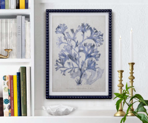 Marine Blue Seaweed III Framed Print