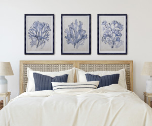 Marine Blue Seaweed I Framed Print
