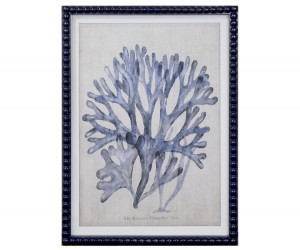 Marine Blue Seaweed I Framed Print