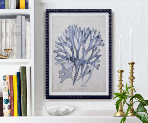 Marine Blue Seaweed I Framed Print