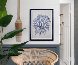 Marine Blue Seaweed I Framed Print