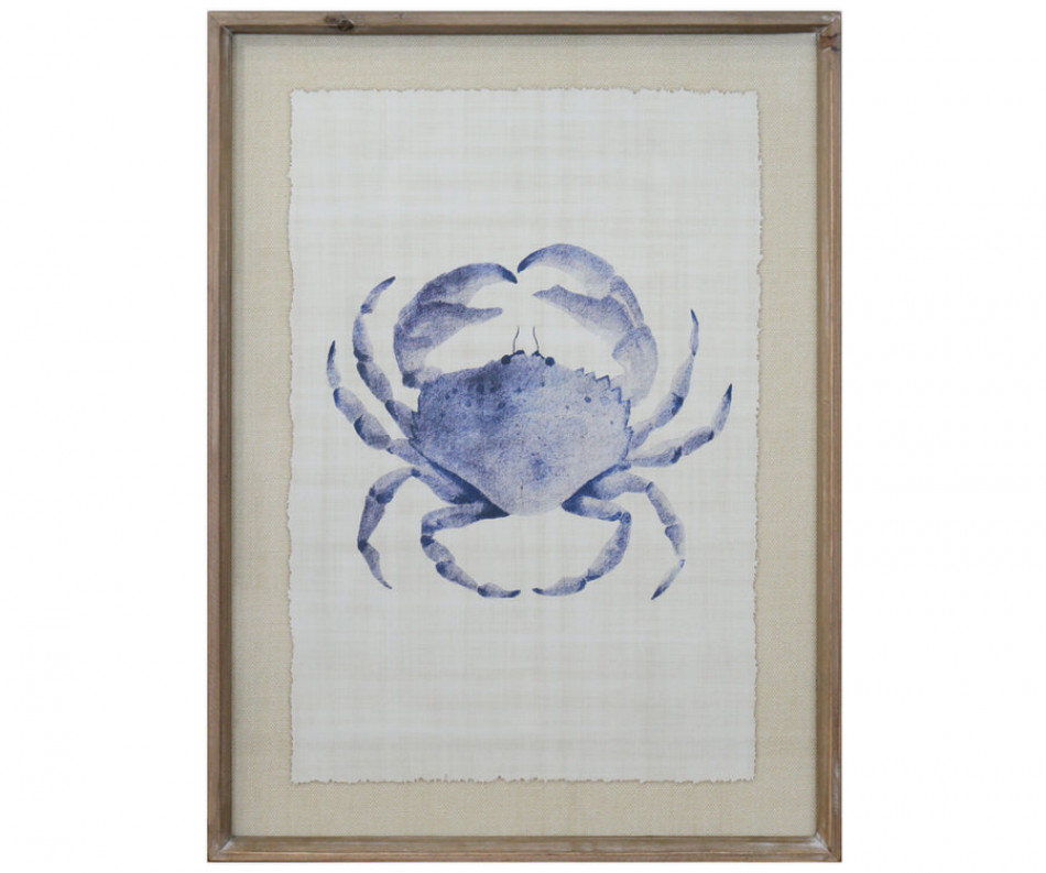 Maine Harbour Crab Framed Print