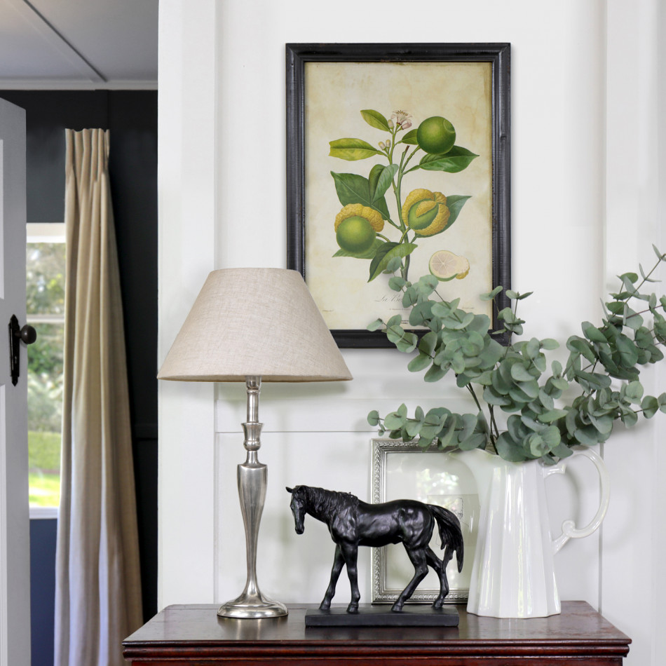 La Bizarerie Limes Vintage Botanical Print, a wall display piece featuring the named subject and composition